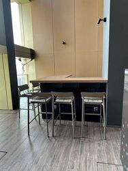 Irwell Hill Residences (D9), Apartment #557700091